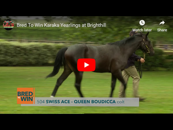 Bred-To-Win-Karaka-Yearlings-at-Brighthill.jpg