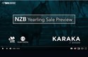 Karaka2020 Preview Tile